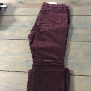 Loft Petite 31/12P Maroon Curvy Boot Pants New